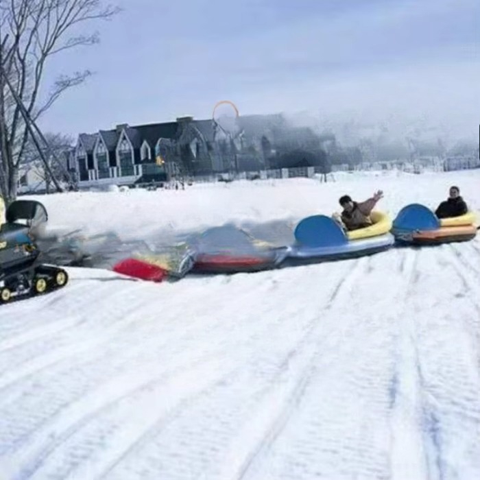 Towable Inflatable Snow Tube a - Outdoor Sports Activities 评论和价格